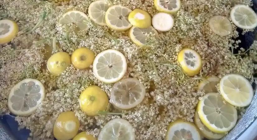 A magyar falvakban ezt csinálják télire a bodzából, így lesz belőle igazi kincs a hideg hónapokra