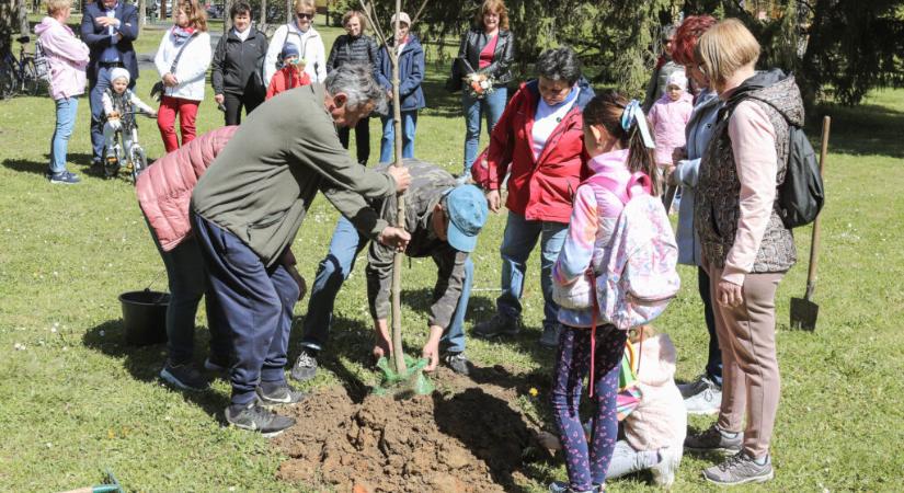 Emlékfát ültettek Monspart Sarolta tiszteletére Nagyatádon
