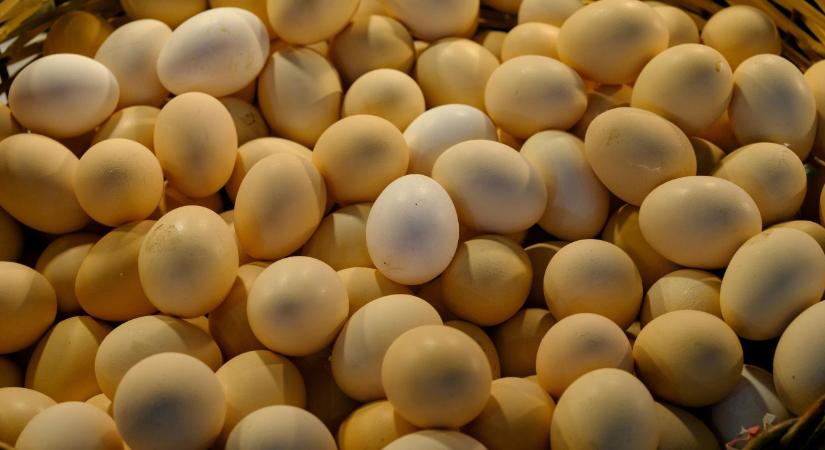 Véget ért az olcsó tojás korszaka?