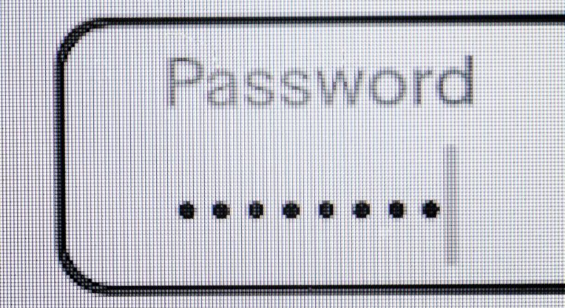 Több száz magyar kormányzati jelszó került ki az internetre