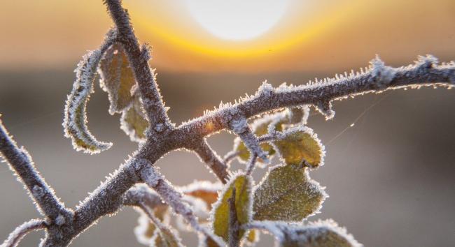 Pénteken és szombaton károkozó fagyok is jöhetnek