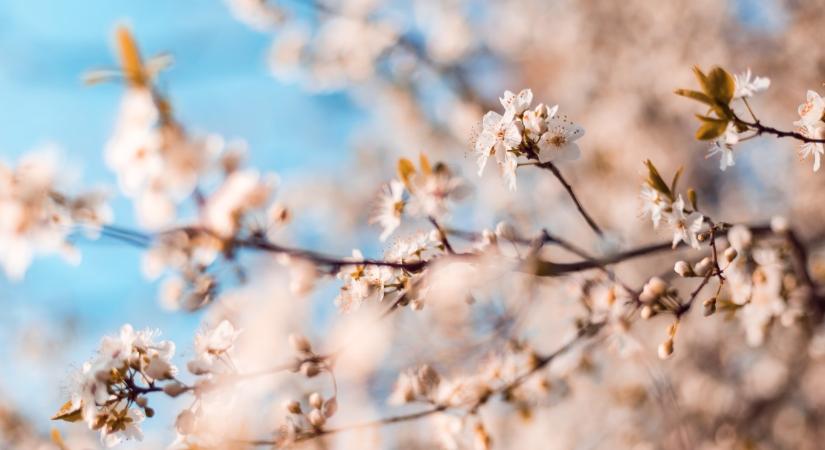 Felhős péntek után napsütéses idő várható hétvégén