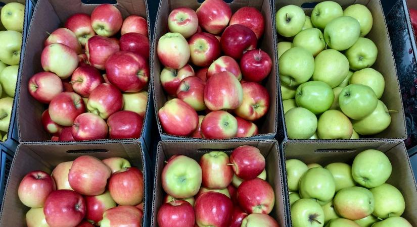 Veszélyben az almaexport: a logisztikai káosz miatt raktárakban ragadhat a tavalyi készlet?