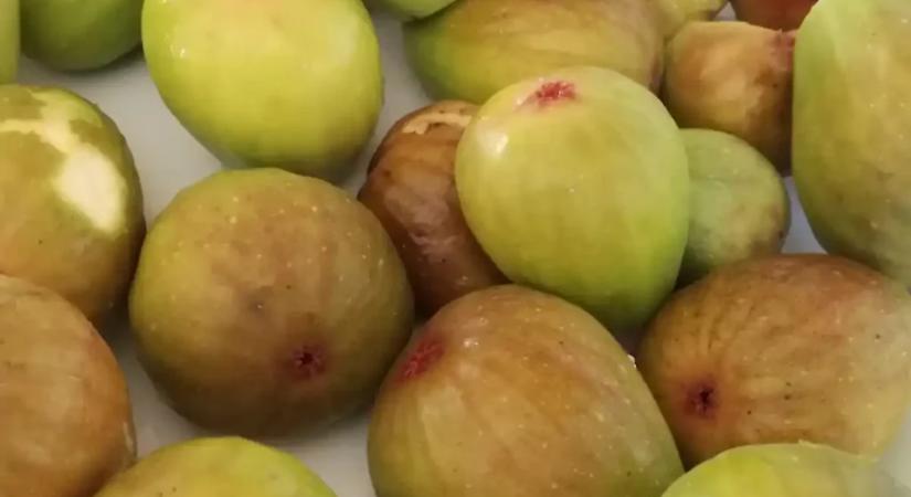 Sokkoló lista: ez a 12 bolti gyümölcs és zöldség tele van növényvédőszerrel!