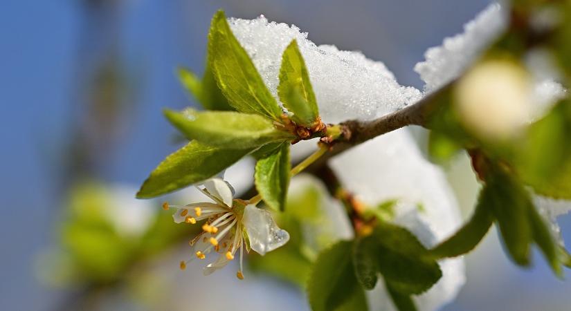 Ez durva lesz: ahogy lemegy a nap, támad a fagy és a hódara