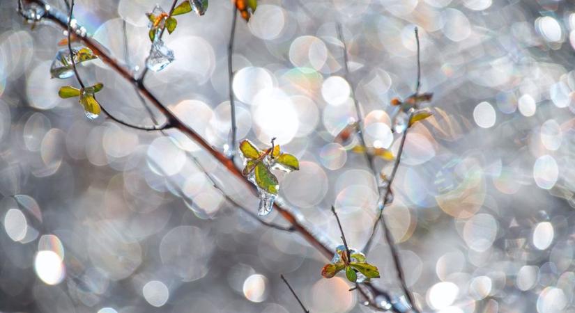 Kritikus éjszaka jön: ezen múlhat az idei gyümölcstermés