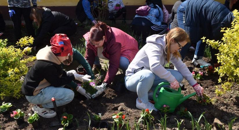 Ilyen összefogást még nem látott Karcag: több tucat palántát ültettek az iskola kertjében – galériával