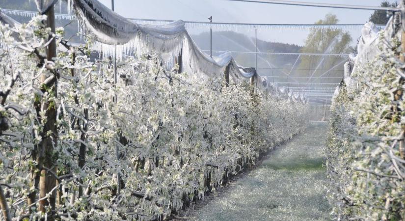 Fokozott fagyveszély várható! Térképen a szabolcsi helyzet!