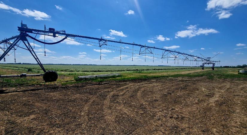 Talajstratégiák VII. – Öntözés