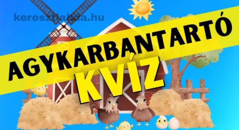Napi agykarbantartó feladat: Nézd meg ezt a tanyasi képet, aztán válaszolj egy kérdésre
