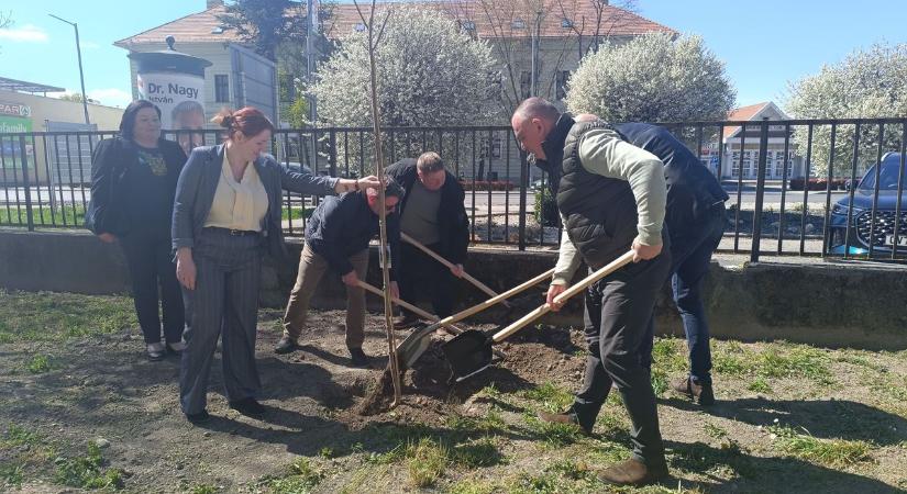 A Karolina Kórház zöldítéséért fogtak össze a szigetközi települések