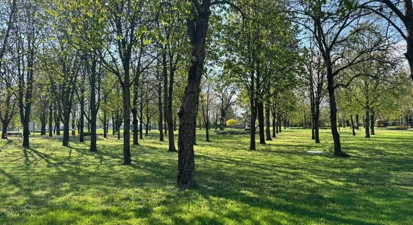 Fontos munkálatok zajlanak Lőrinciben
