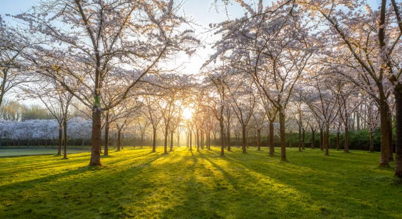 Ami vasárnap délután jön Magyarországon, arra nem sokan számítanak