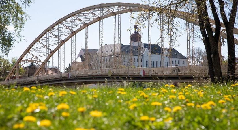 Megmutatta magát a tavasz már Győrben is, ilyen időre számíts a hétvégén - Képgaléria