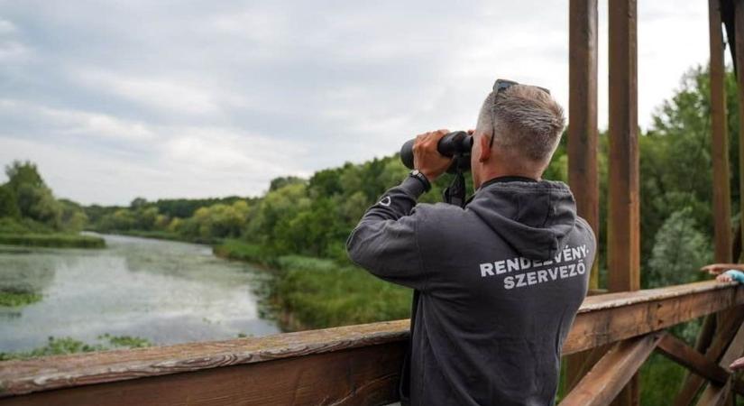 Óriási találat érte a Tisza Párt kampányát: tiszások vonják kérdőre Magyar Pétert háborús vallomása után