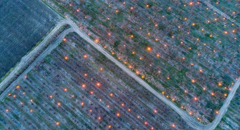 Egy óra is már végezetes lehet – veszélyben a gyümölcsösök