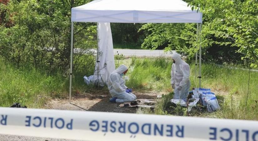 Csákánynyéllel törte be áldozatának koponyáját a féltékeny férfi