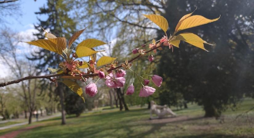 Szürke fátyol borul Hevesre, de nem maradunk teljesen napfény nélkül