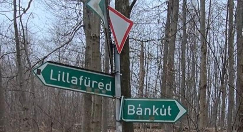 Fehéredik a táj: Megérkezett az áprilisi hóesés a Bükkbe és a Mátrába