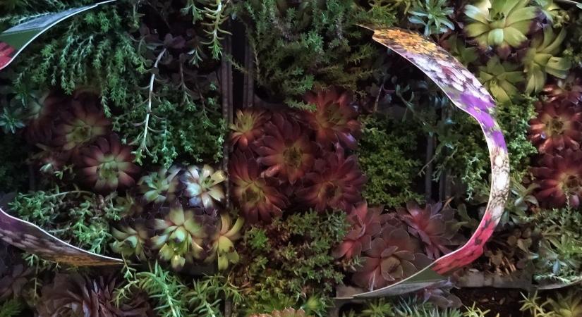 MKKP: gerillakertészkedés két részletben