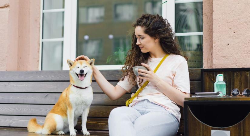 A 3-3-3 szabály nem csak a kutyáddal működik: megmenthet egy sor rossz randitól!