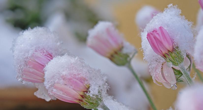 Időjárás: a fagyos hajnalok után vasárnapra visszatér a kirándulóidő