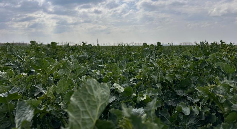 3 napos előrejelzés: Várható kálváriánk a pénteki fronttól a vasárnapi 20 fokig