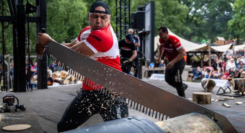 Favágás: a világ egyik legősibb és legkeményebb sportja