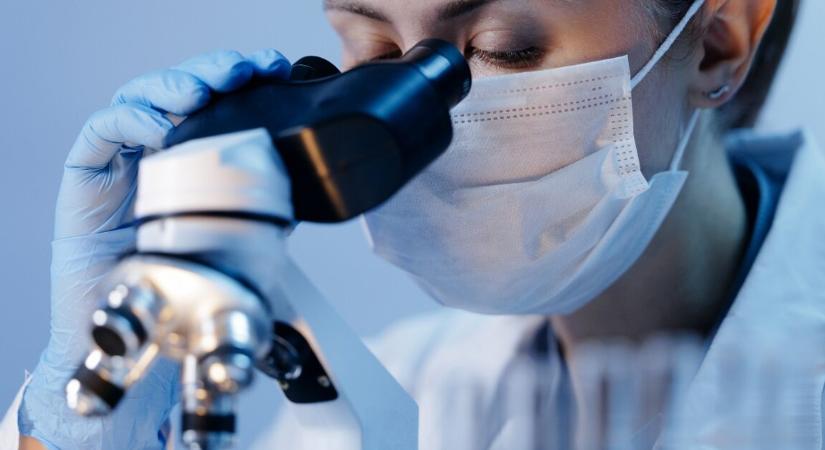 Egy apró molekula, ami átírhatja az agy és a rák kezelésének jövőjét