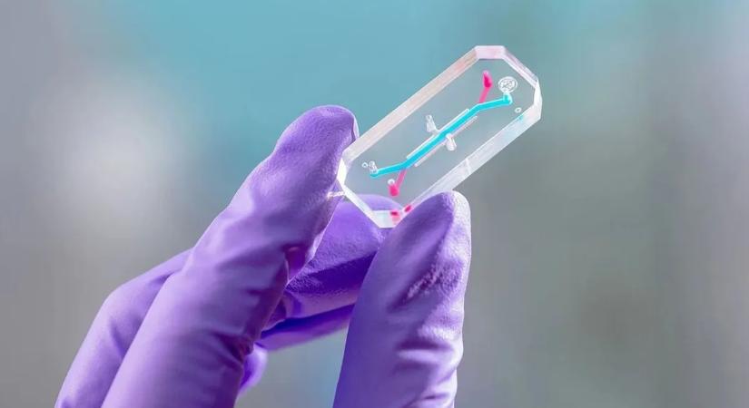 Elképesztő kísérlet indult: emberi sejtek keringenek a mélyűrben