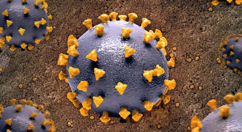 Nagyszámú mutációval terjed a Sars-Cov-2 új variánsa, a Kabóca