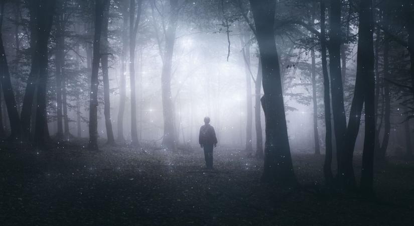 Megrázó! Közel ötven szabolcsi gyerek tűnt el pár nap alatt! Senki nem tud róluk semmit!