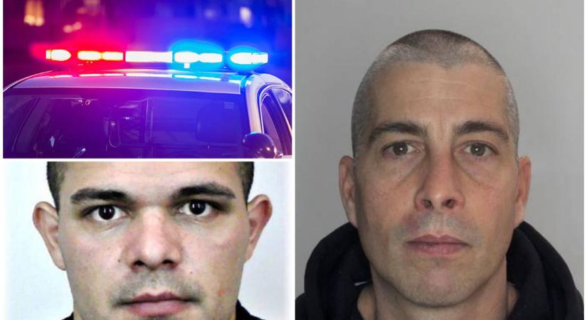 Két férfi után indult hajtóvadászat Ajkán – lopás miatt körözik őket