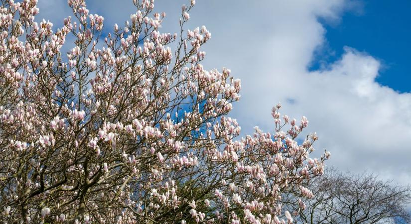 Csípős reggel, hűvös nappal: ilyen időjárás vár ránk pénteken