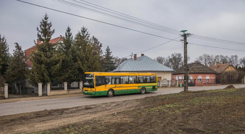 Olyan buszmegállót találtak Magyarországon, ami példátlan egész Európában