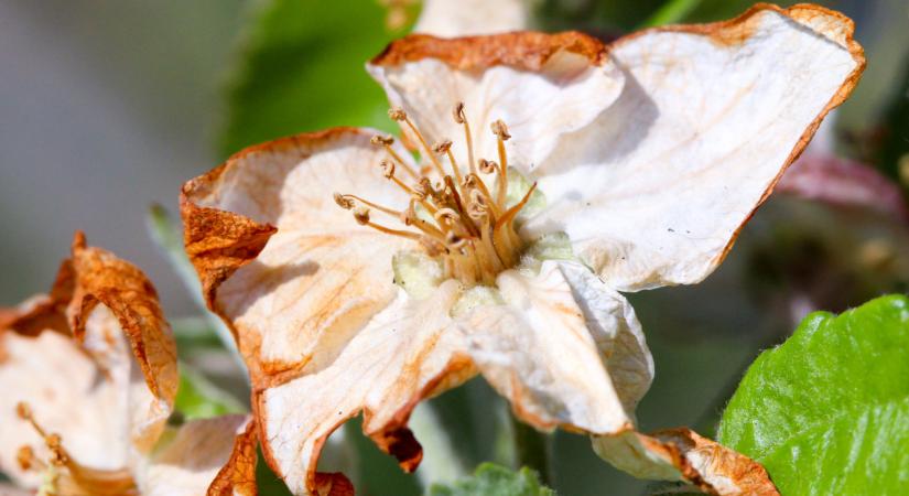 Nagyon pórul járhat, aki vékonyan öltözik pénteken: váratlan mínuszok csapnak le az országra