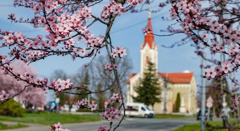 Könnyebb kezelhetőség, letisztult dizájn, naprakész információk – megújult Vép honlapja