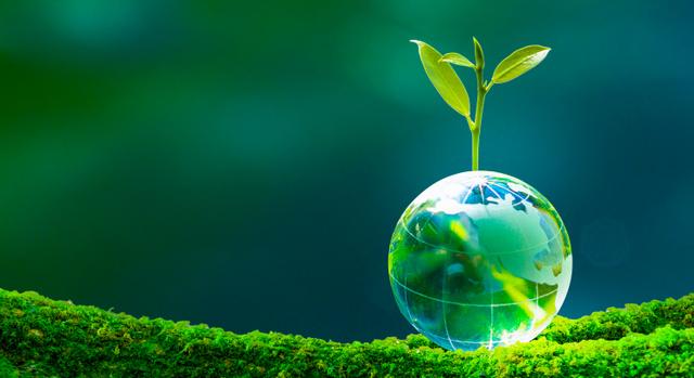 Egészség világnap: tényleg számít, miben hiszünk? – ezért kulcsfontosságú a tudomány