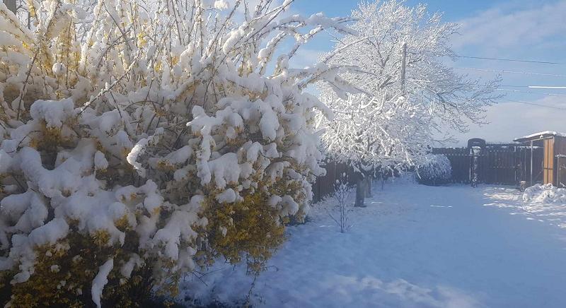 Lehavazott Székelyföldön