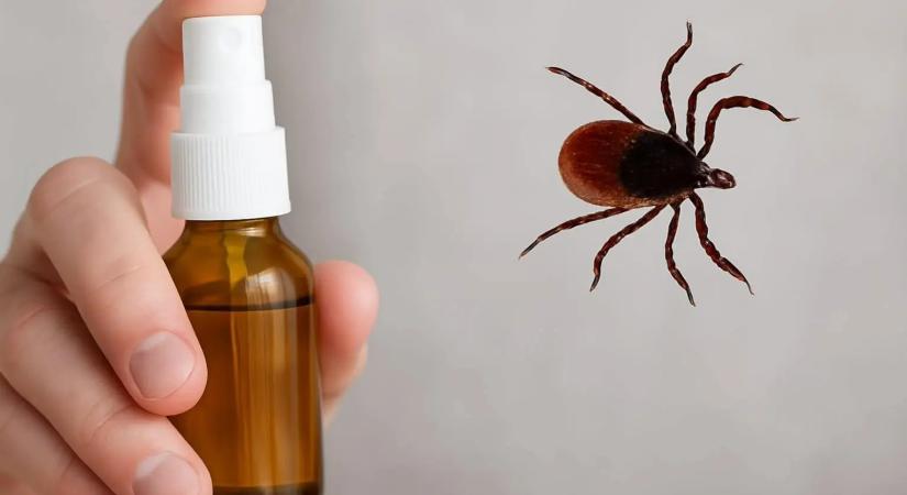 A bolti spray-k elbújhatnak: ezzel a módszerrel búcsút inthetsz a kullancsoknak