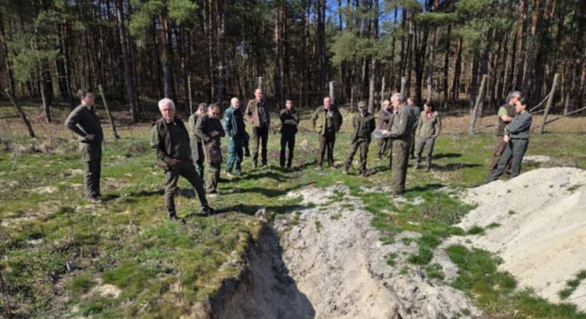 Közös munka zajlik a somogyi erdők jövőjéért