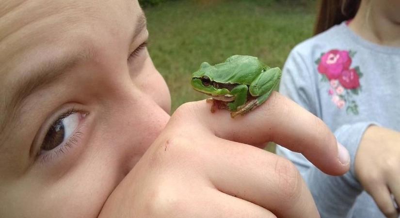A NEFAG Zrt.-nél tantermünk az erdő – Tudta, hogy különleges élményeket kínál a NEFAG Zrt. Erdei Iskolája?!