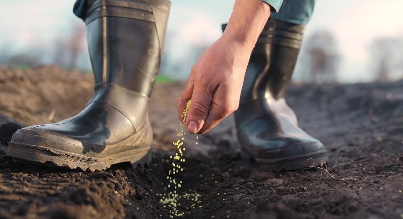 Ezért mozdult meg egyszerre 260 ezer gazda