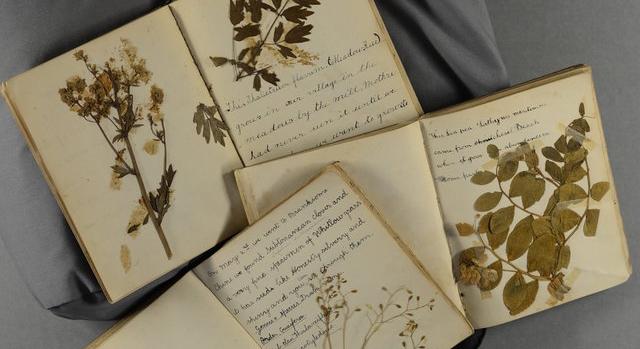 Többmilliós támogatásból újul meg a dorseti történelmi levéltár