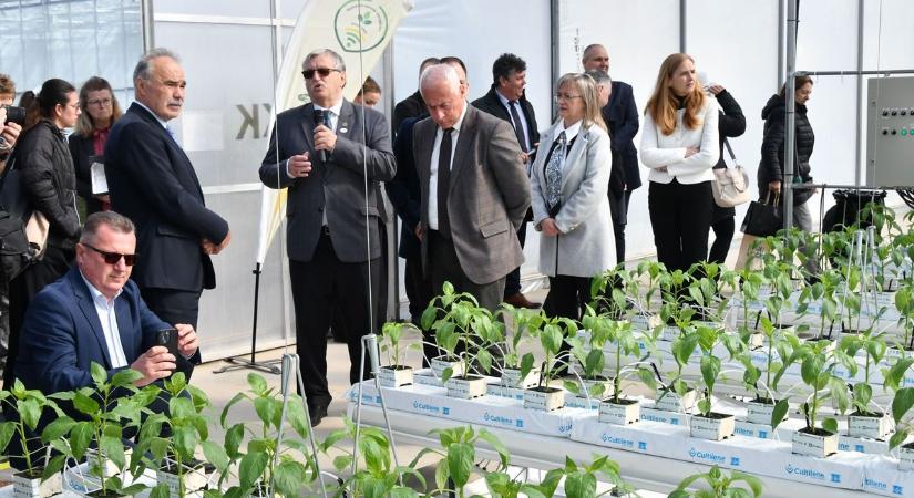 Öregszik a kertészszakma, a DélKerTÉSZ új programot indulít a fiatalok oktatására