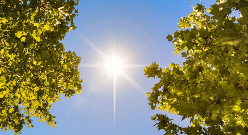 A magyarok 95%-át érinti ez a betegség – te is köztük vagy?