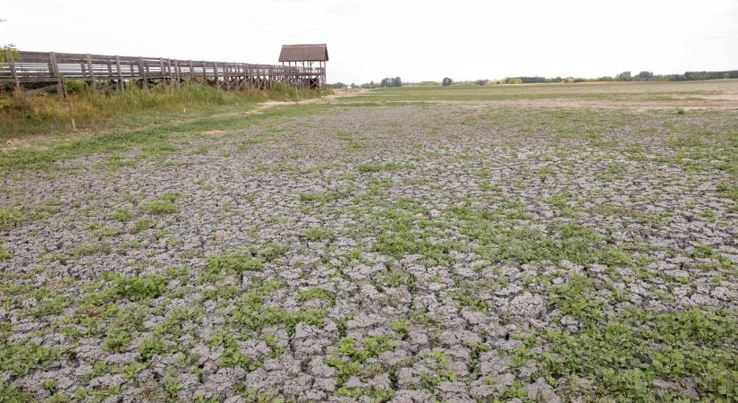 Végre jön a segítség: milliárdok érkeznek a homokhátsági tanyavilágba