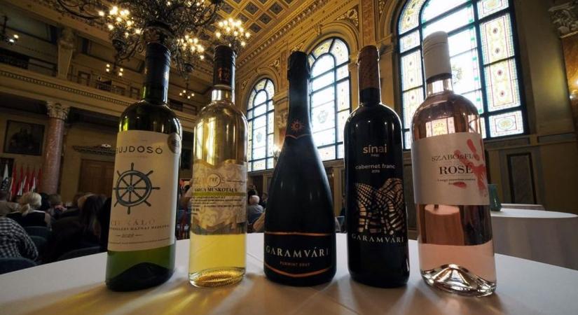 Idén is keresik a Balaton legjobb borait, hamarosan lehet jelentkezni a versenyre
