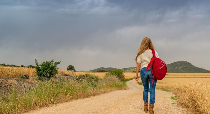 Összeomlott a Bittensor árfolyama, kiszállt a legnagyobb AI építőcsapat