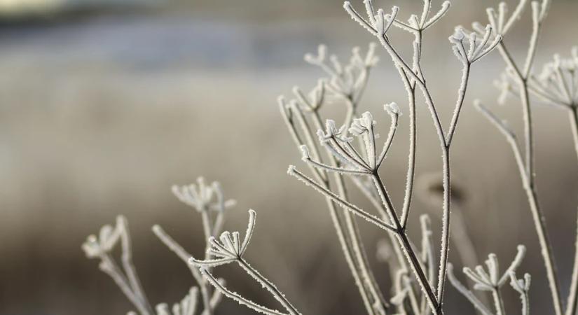 Meteorológia: sok helyen fagyott csütörtök hajnalban